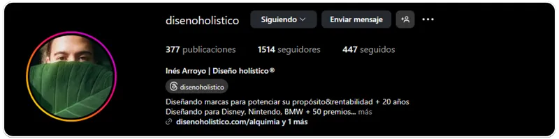 Perfil de Instagram de Inés Arroyo